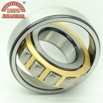 High Precision Cylinderical Roller Bearing with ISO Certificated (NU2304E)